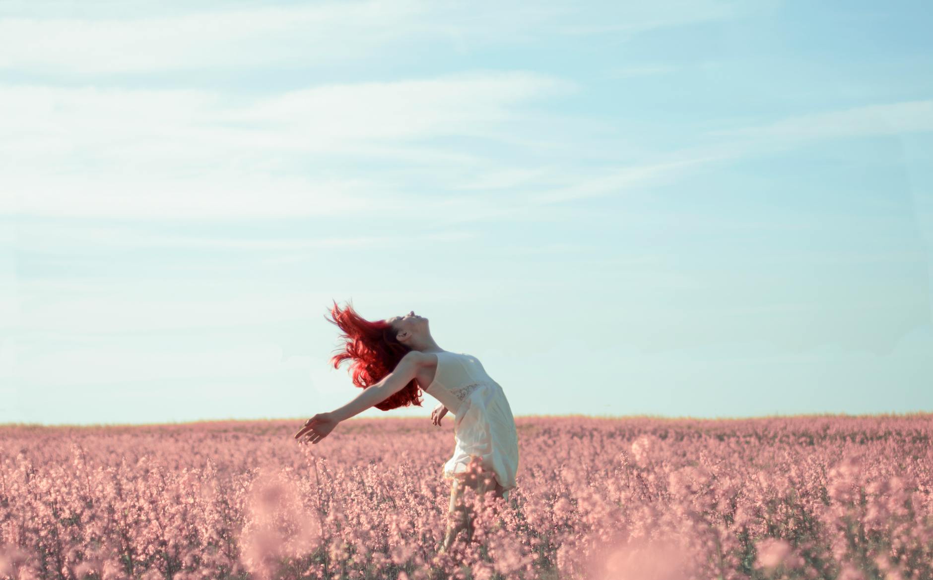 The Shape of Freedom: How to Create Structures that Serve Life Instead of Trapping It