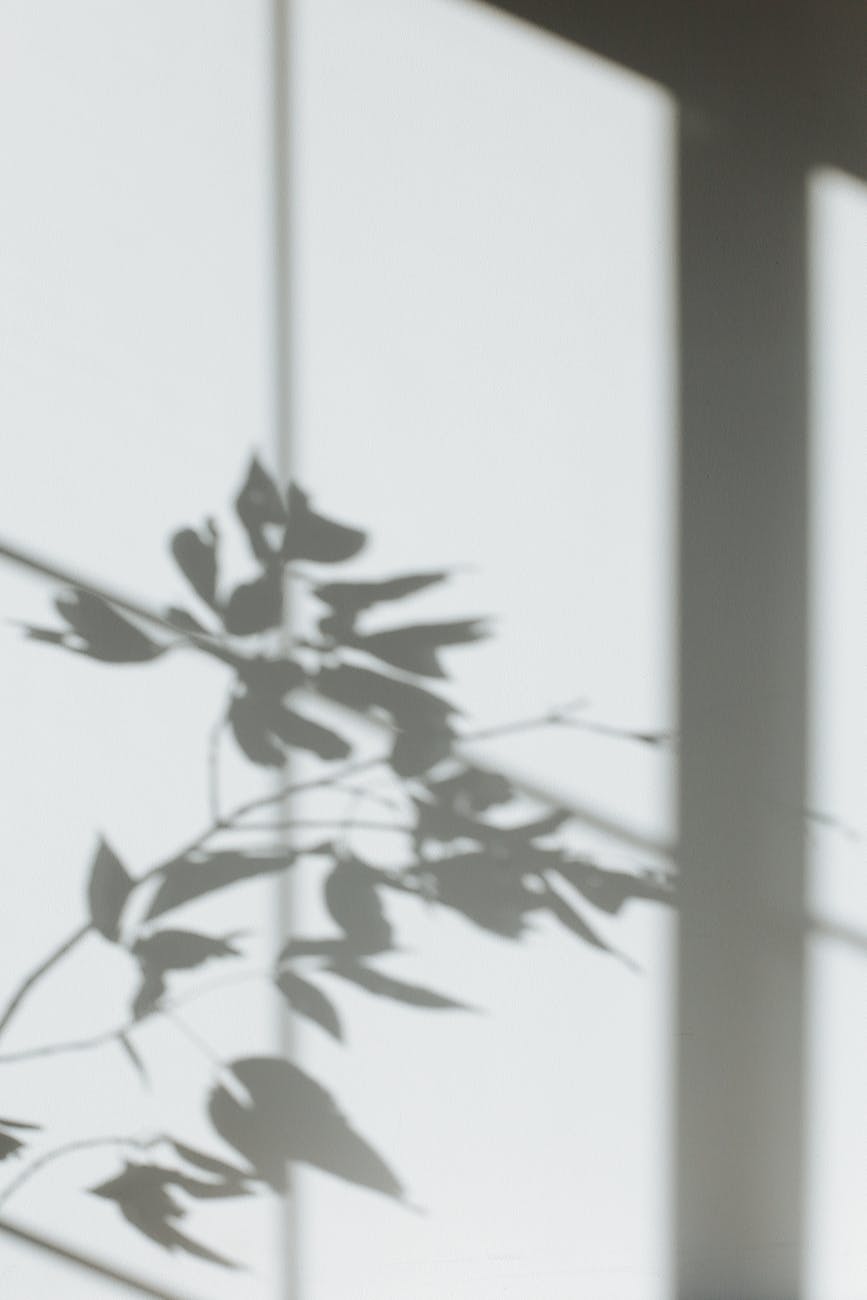The Shadow Side of Modern Spirituality